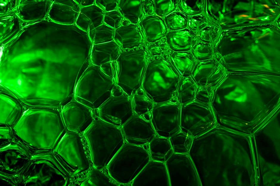 Molecular model representing alkaloid standardization