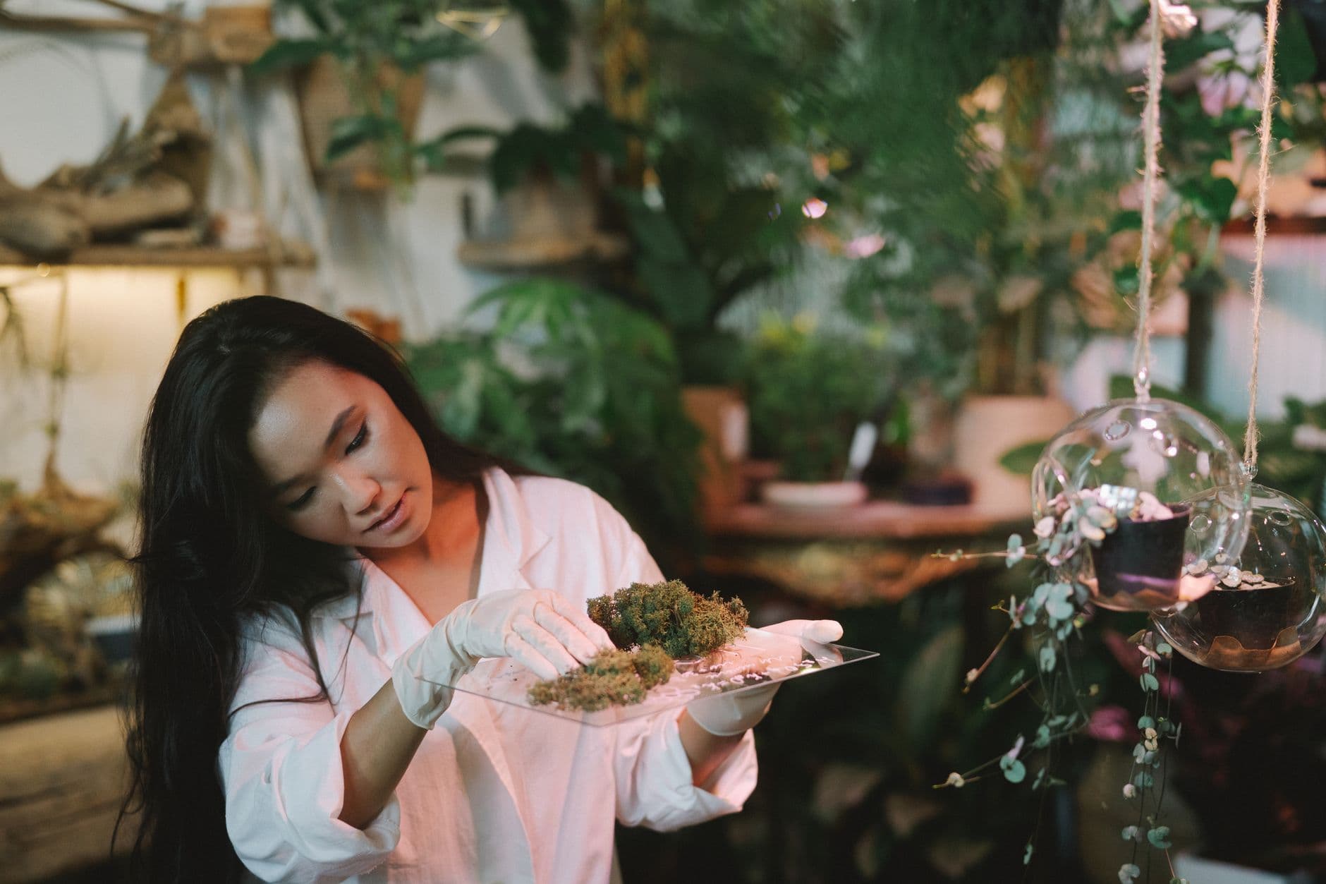 Scientist holding a green plant in the laboratory