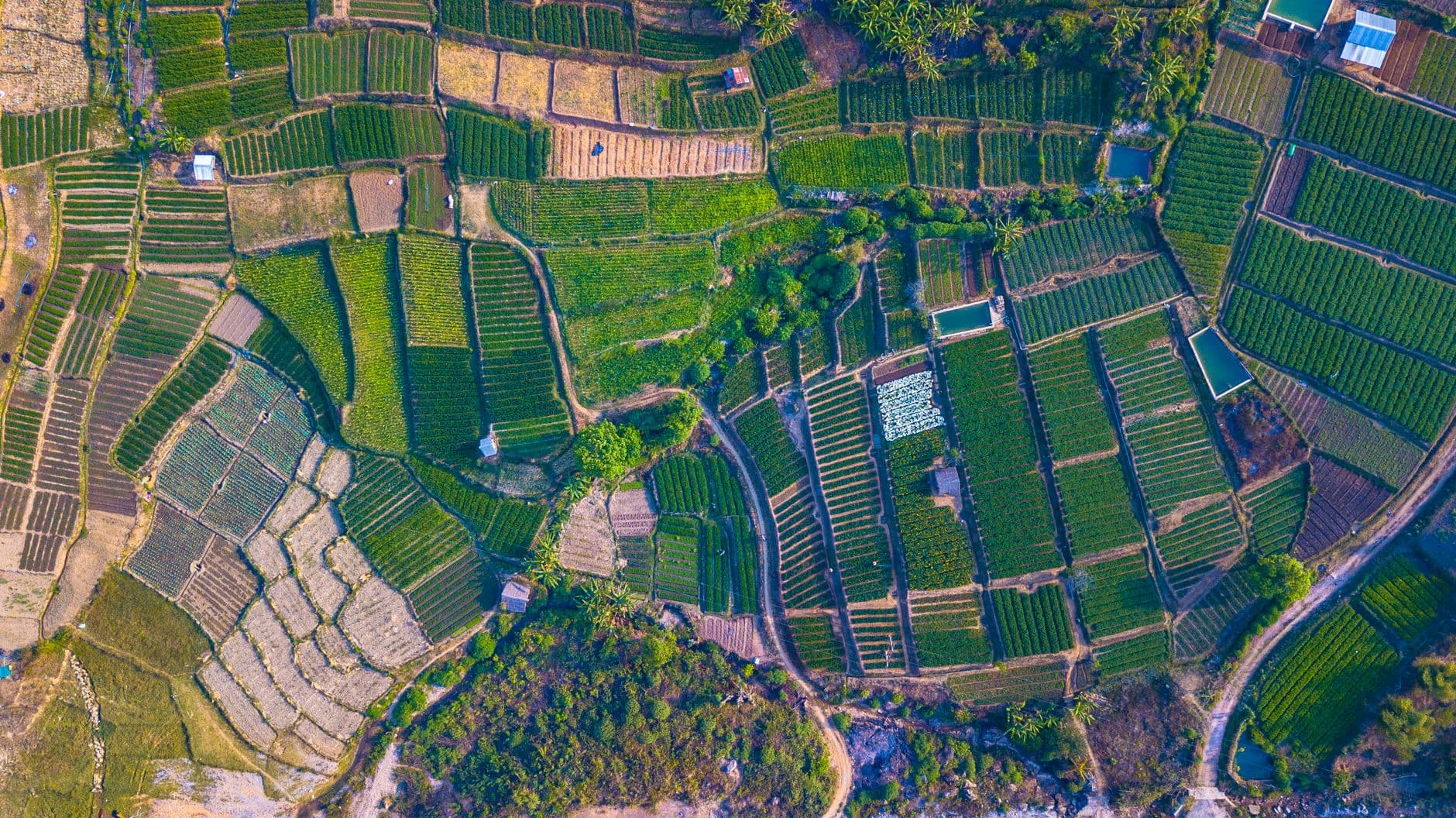 Sustainable agricultural fields
